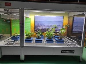 1683884222307